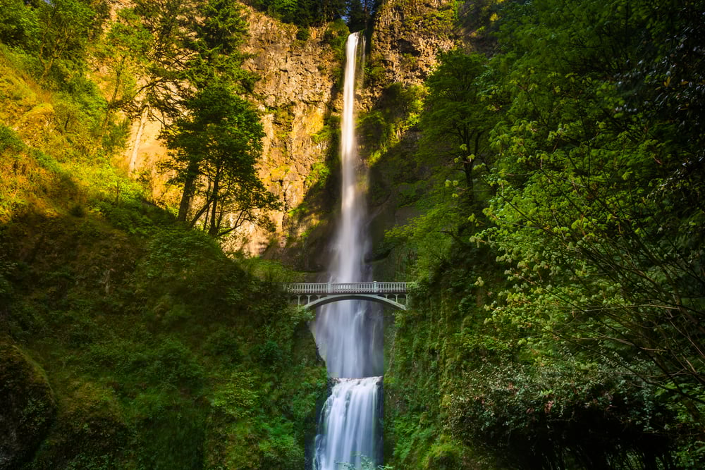 Multnomah Falls and bridge, in the Columbia River Gorge, Oregon.